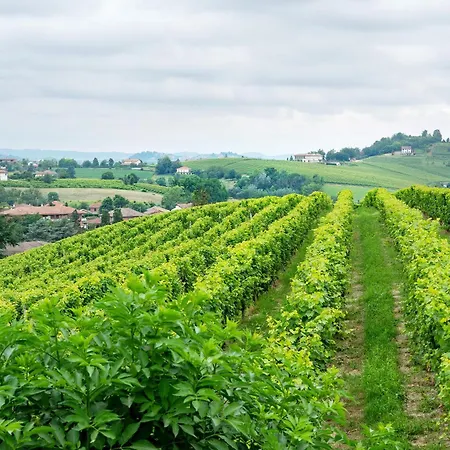 Dolcetto * Costigliole d'Asti