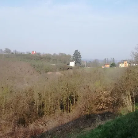 Dolcetto *